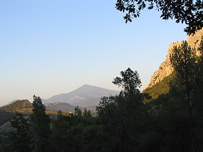 Le ventoux vu des dentelles de Montmirail